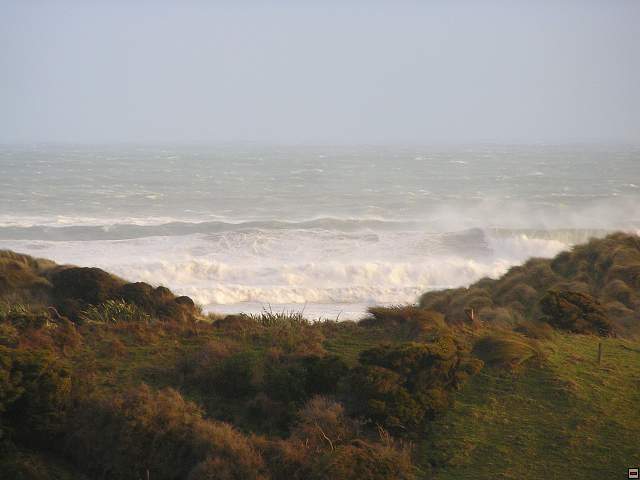 The Catlins Coast 037.jpg